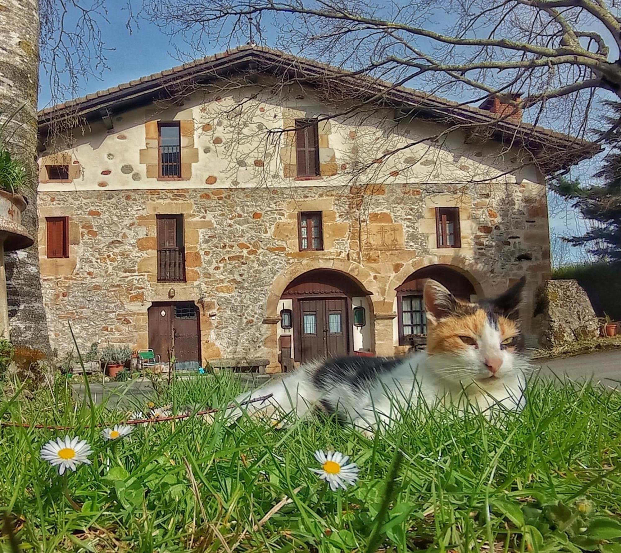 Casa Rural Areano Escoriaza Екстериор снимка