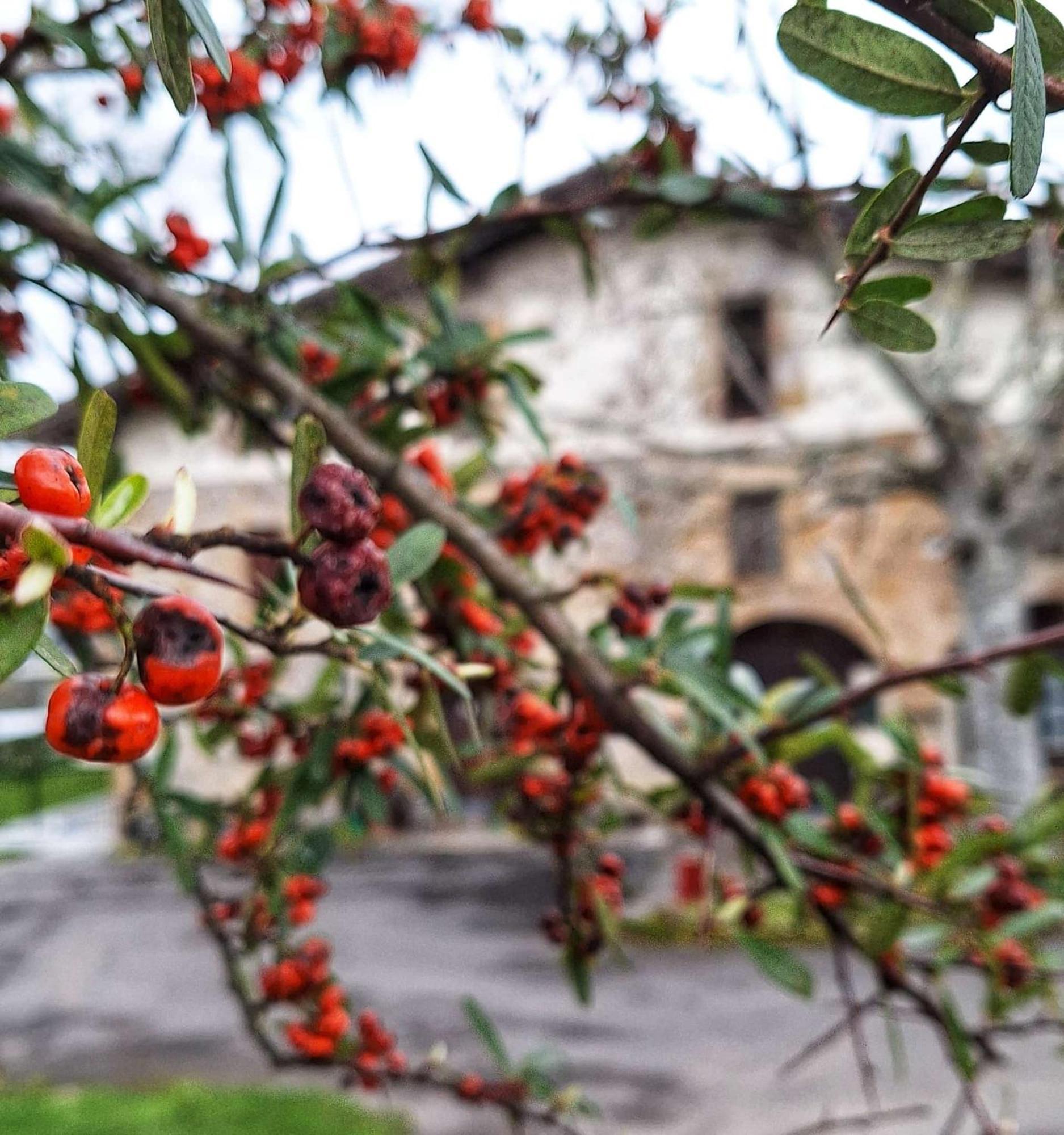 Casa Rural Areano Escoriaza Екстериор снимка