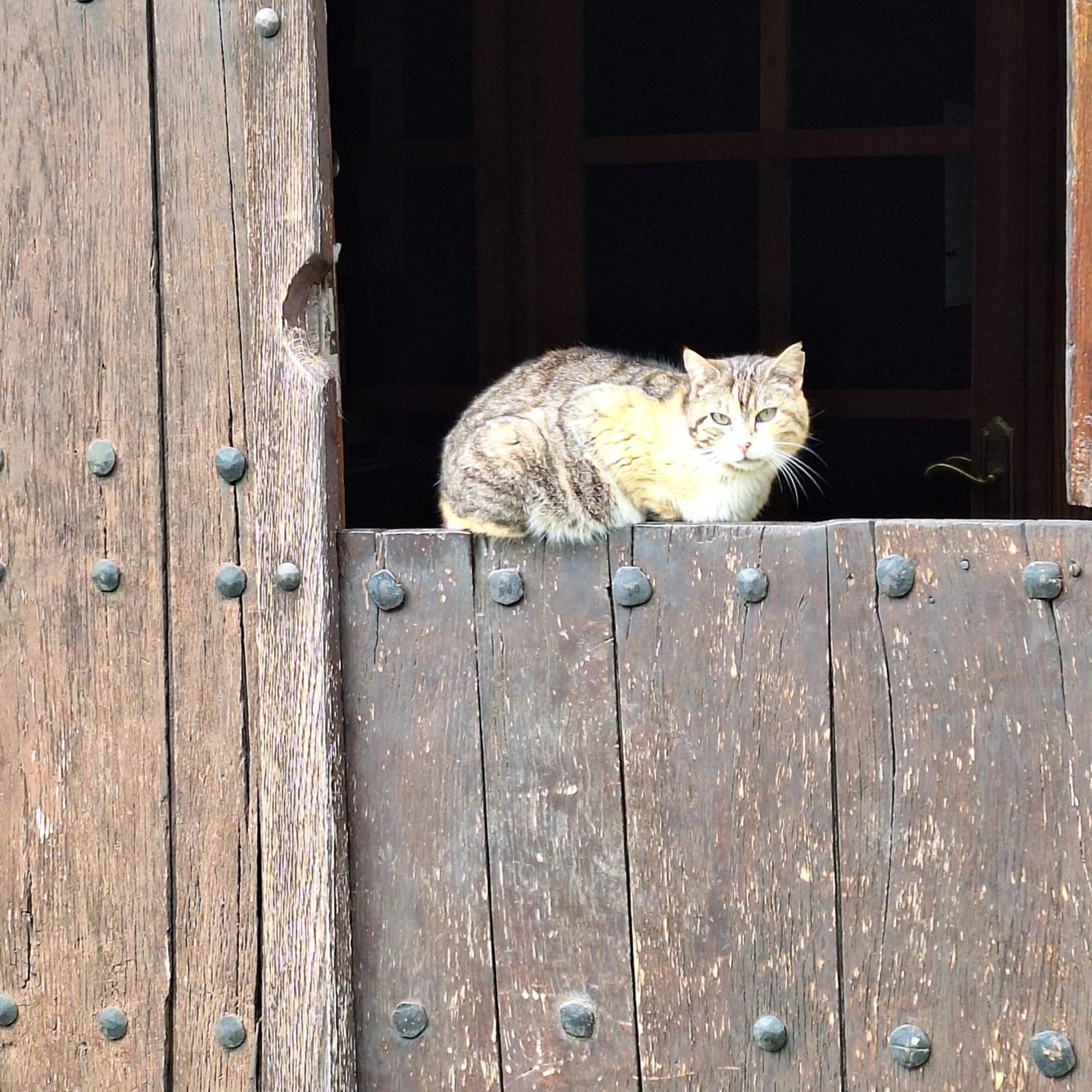Casa Rural Areano Escoriaza Екстериор снимка
